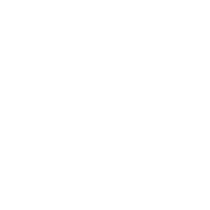 LOGOS Baskin Robbins_Plan de travail 1