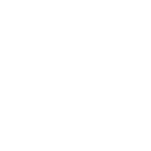 logo PATCHI_Plan de travail 1